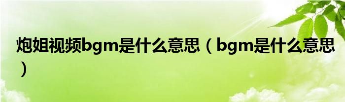 炮姐视频bgm是什么意思（bgm是什么意思）