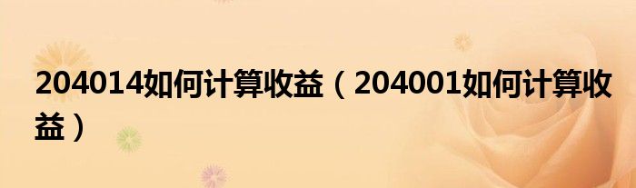 204014如何计算收益（204001如何计算收益）