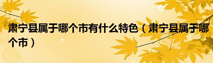 肃宁县属于哪个市有什么特色（肃宁县属于哪个市）