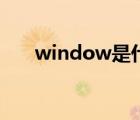 window是什么（winall是什么系统）