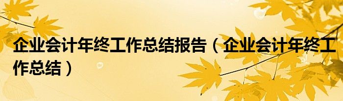 企业会计年终工作总结报告（企业会计年终工作总结）