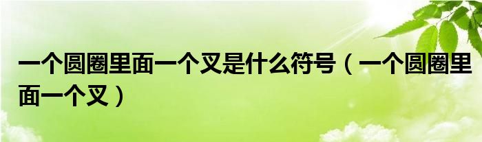 一个圆圈里面一个叉是什么符号（一个圆圈里面一个叉）