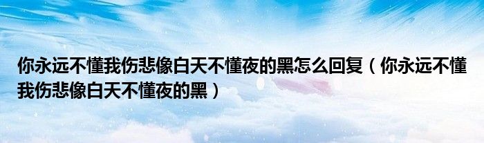 你永远不懂我伤悲像白天不懂夜的黑怎么回复（你永远不懂我伤悲像白天不懂夜的黑）