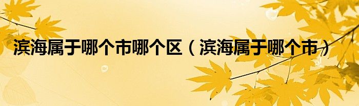 滨海属于哪个市哪个区（滨海属于哪个市）