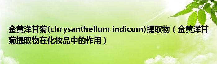 金黄洋甘菊(chrysanthellum indicum)提取物（金黄洋甘菊提取物在化妆品中的作用）