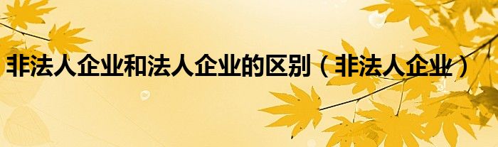 非法人企业和法人企业的区别（非法人企业）