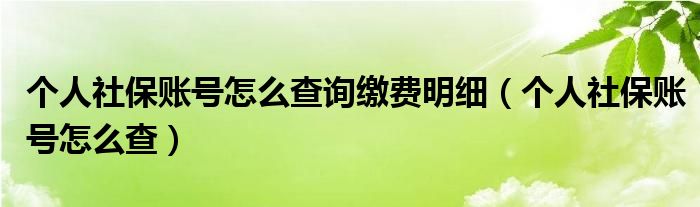 个人社保账号怎么查询缴费明细（个人社保账号怎么查）