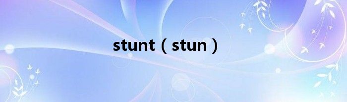 stunt（stun）