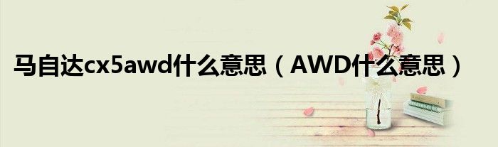 马自达cx5awd什么意思（AWD什么意思）