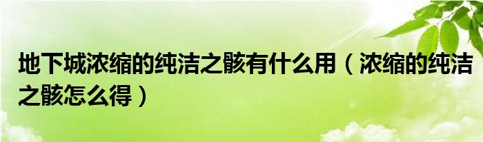 地下城浓缩的纯洁之骸有什么用（浓缩的纯洁之骸怎么得）