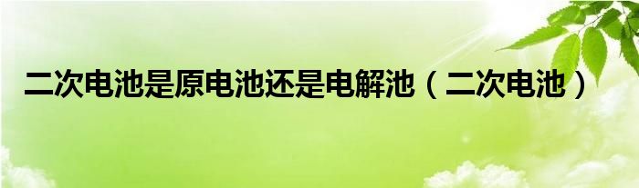 二次电池是原电池还是电解池（二次电池）