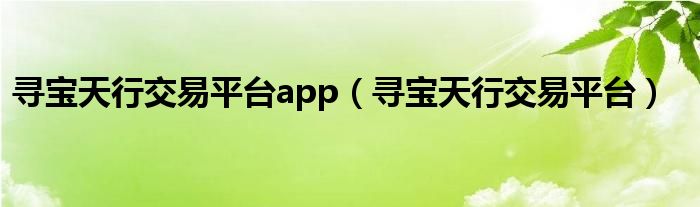 寻宝天行交易平台app（寻宝天行交易平台）