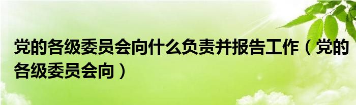 党的各级委员会向什么负责并报告工作（党的各级委员会向）