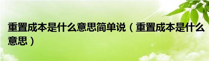 重置成本是什么意思简单说（重置成本是什么意思）