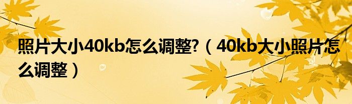 照片大小40kb怎么调整?（40kb大小照片怎么调整）