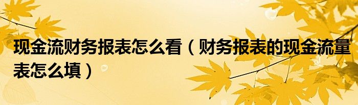 现金流财务报表怎么看（财务报表的现金流量表怎么填）