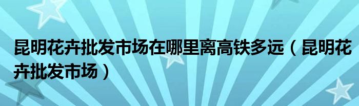 昆明花卉批发市场在哪里离高铁多远（昆明花卉批发市场）