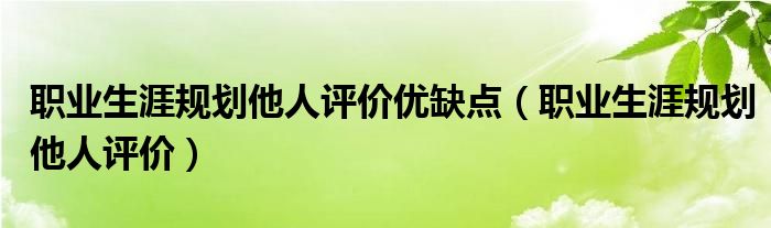 职业生涯规划他人评价优缺点（职业生涯规划他人评价）