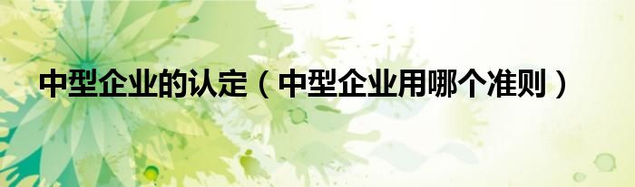 中型企业的认定（中型企业用哪个准则）