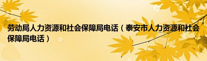 劳动局人力资源和社会保障局电话（泰安市人力资源和社会保障局电话）