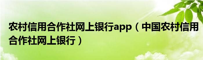 农村信用合作社网上银行app（中国农村信用合作社网上银行）