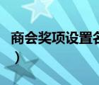 商会奖项设置名称大全（代理商奖项名称大全）