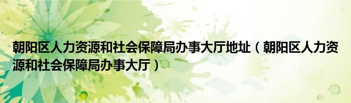 朝阳区人力资源和社会保障局办事大厅地址（朝阳区人力资源和社会保障局办事大厅）