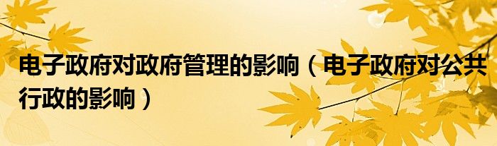 电子政府对政府管理的影响（电子政府对公共行政的影响）