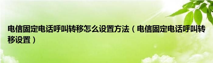 电信固定电话呼叫转移怎么设置方法（电信固定电话呼叫转移设置）