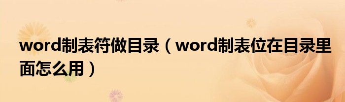 word制表符做目录（word制表位在目录里面怎么用）