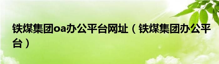 铁煤集团oa办公平台网址（铁煤集团办公平台）