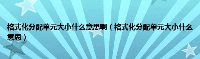 格式化分配单元大小什么意思啊（格式化分配单元大小什么意思）