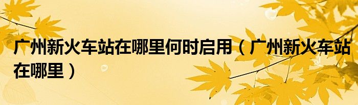 广州新火车站在哪里何时启用（广州新火车站在哪里）