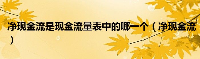 净现金流是现金流量表中的哪一个（净现金流）