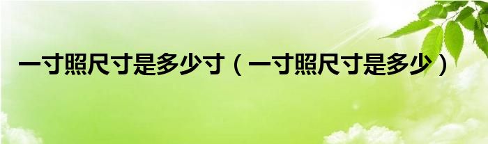 一寸照尺寸是多少寸（一寸照尺寸是多少）