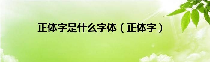 正体字是什么字体（正体字）