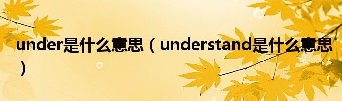 under是什么意思（understand是什么意思）