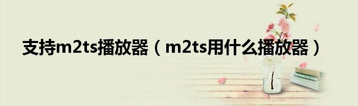 支持m2ts播放器（m2ts用什么播放器）