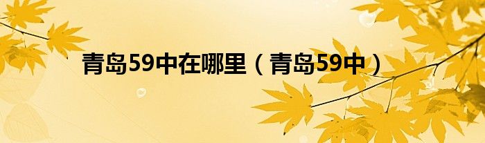 青岛59中在哪里（青岛59中）