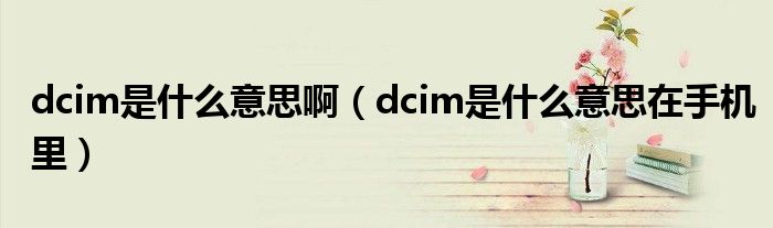 dcim是什么意思啊（dcim是什么意思在手机里）