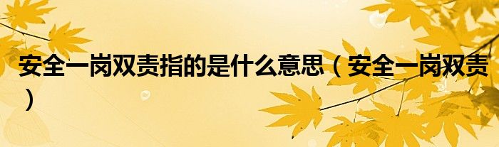 安全一岗双责指的是什么意思（安全一岗双责）