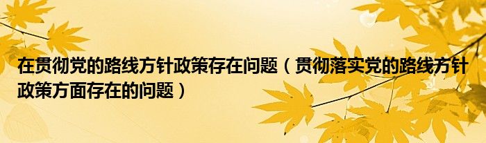 在贯彻党的路线方针政策存在问题（贯彻落实党的路线方针政策方面存在的问题）