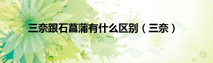 三奈跟石菖蒲有什么区别（三奈）