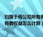 归属于母公司所有者权益和所有者权益（归属于母公司的所有者权益怎么计算）