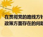 在贯彻党的路线方针政策存在问题（贯彻落实党的路线方针政策方面存在的问题）