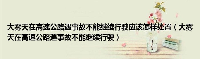 大雾天在高速公路遇事故不能继续行驶应该怎样处置（大雾天在高速公路遇事故不能继续行驶）