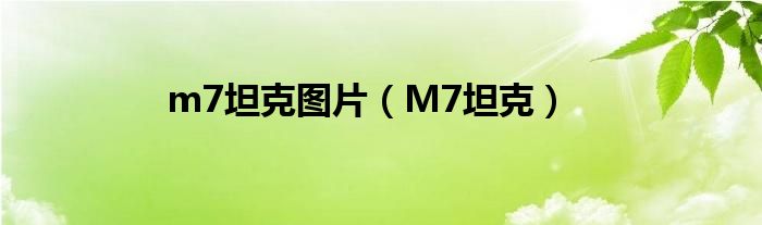 m7坦克图片（M7坦克）