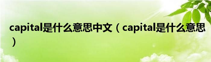 capital是什么意思中文（capital是什么意思）