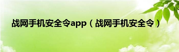 战网手机安全令app（战网手机安全令）