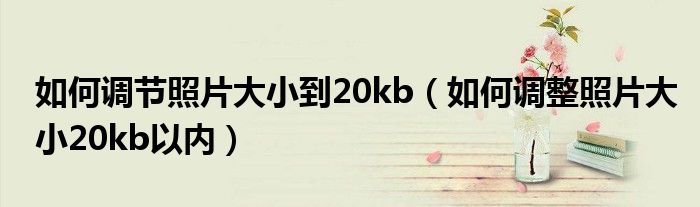 如何调节照片大小到20kb（如何调整照片大小20kb以内）